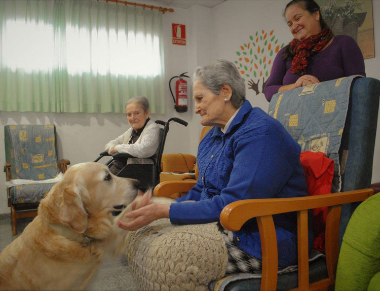 Teràpia amb animals